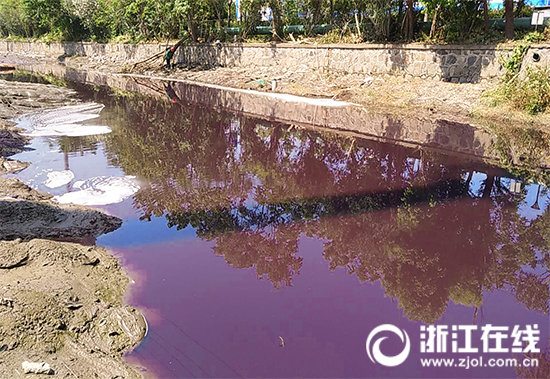 海寧一河道用“薄膜治水” 半年后水質(zhì)反彈