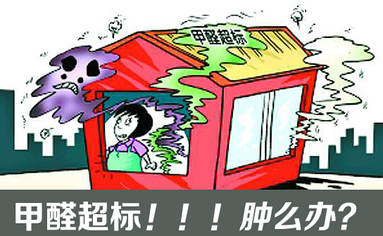 四分之一棕床墊甲醛超標(biāo)