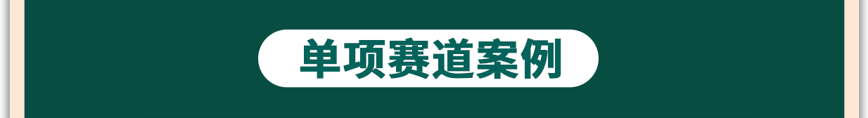 單項案例